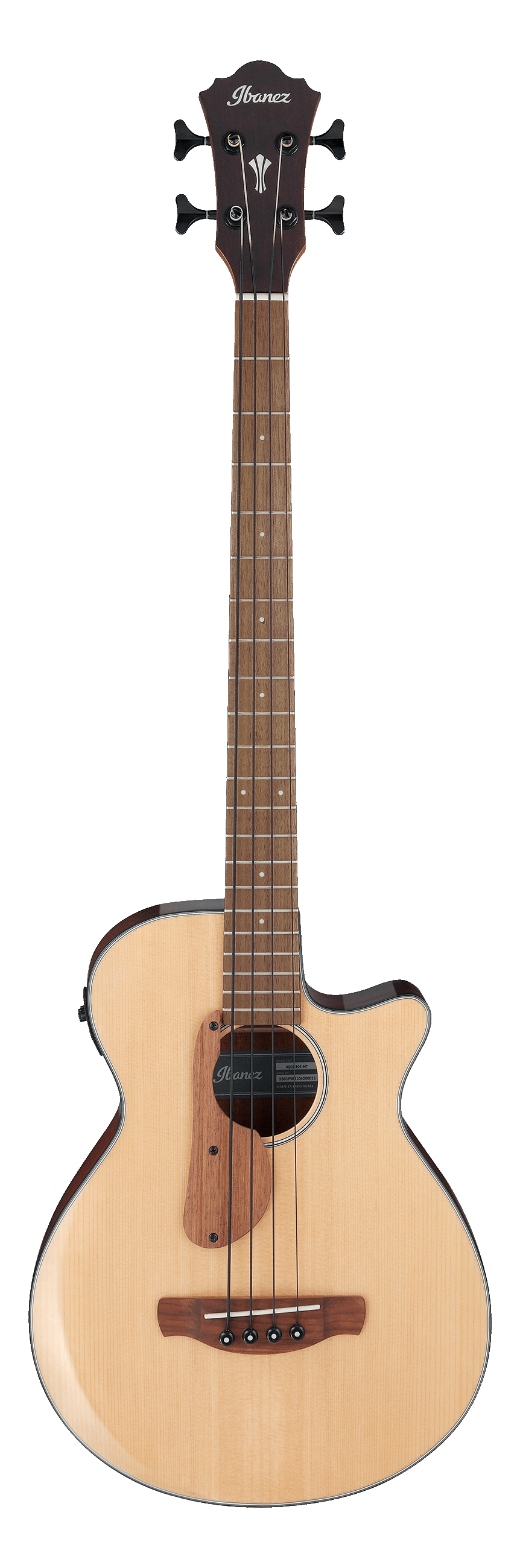 Aegb30e Ntg Akustisk Bas Med Pickup fra Ibanez