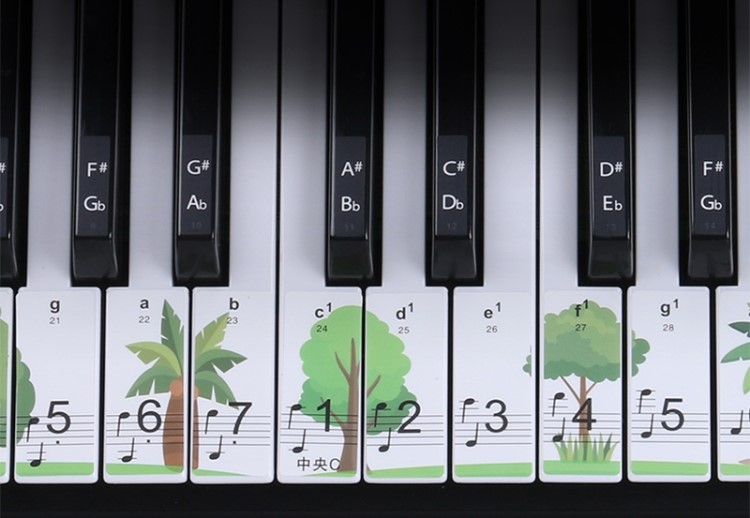 Klistermærker Til Keyboard Og Klaver   Træer fra Music2you