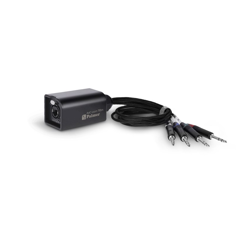 Audio Over Cat Loom From Ethercon To 4 X 6.3 Mm Trs Jack     fra Palmer