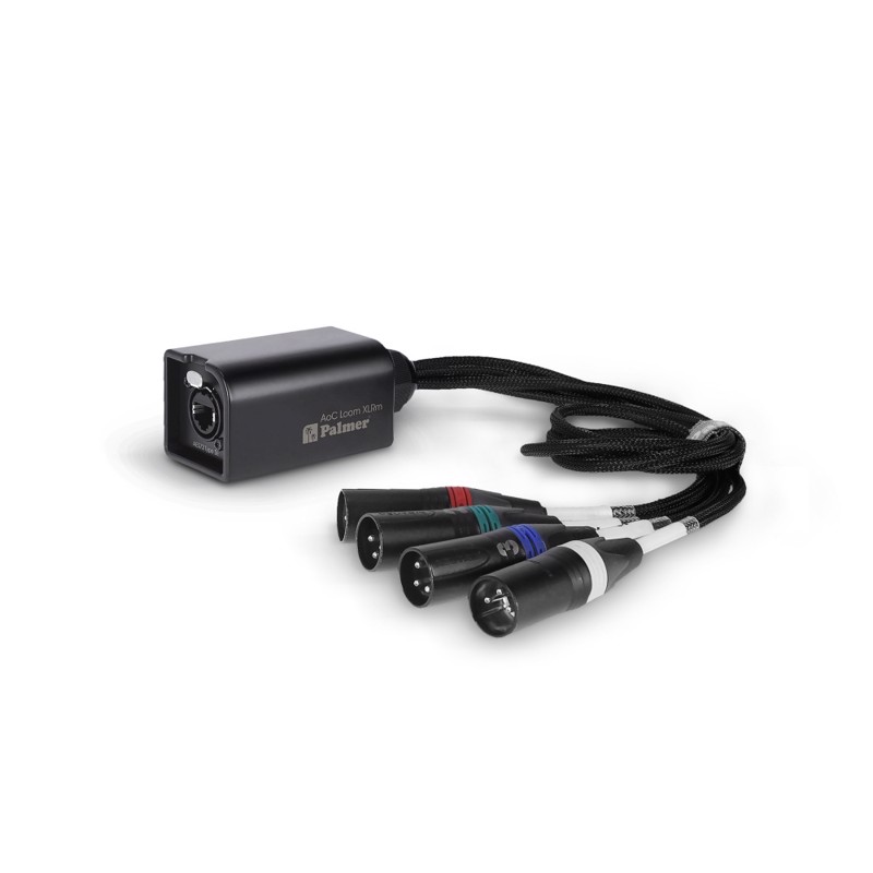 Audio Over Cat Loom From Ethercon To 4 X R Male     fra Palmer